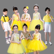 June 1 childrens performance costume chorus costume primary school student princess skirt puffed gauze skirt kindergarten performance costume yellow