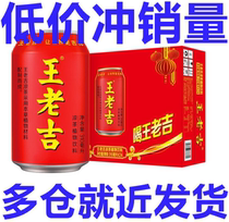 Wanglaoji herbal tea 310ml * 24 cans of herbal herbal tea plant cool drink