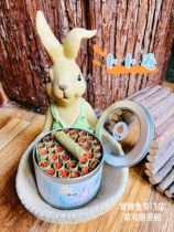 Pure handmade grass Liebb roll carrot sandwich Rabbit grinding rabbit Tooth Rabbit Snack Health Grass Cake 30 Root