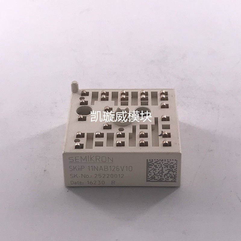 SKIIP11NAB126V10 SKIIP12NAB12T4VI K209A04