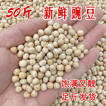 50 Jin white pea grains fresh grains pigeon pea pigeon feed pellets full of real 25kg