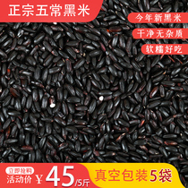 Five normal black rice 2021 New rice 5 grain coarse grain Coarse Grain Ji Cisa Preference Ingredients Black Rice 5 Catty Vacuum Clothes