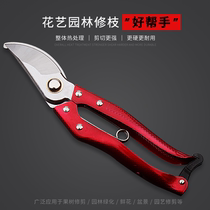 Pruning scissors fruit tree German household Pruning flower scissors to repair branches and twigs strong garden gardening scissors