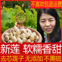 Sulfur-free white lotus seeds dry goods to the core 500g farm self-produced lotus rice coreless lotus seed 500g special grade