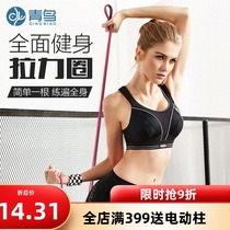 Blue bird fitness elastic belt tension resistance belt elastic rope men and women pull up auxiliary belt practice shoulder back hips