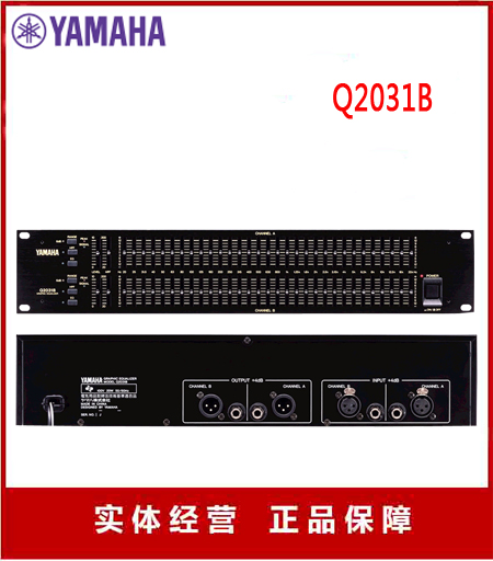 Yamaha/Yamaha Q2031B Equalizer