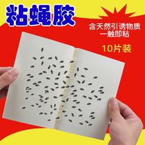 Sticky fly paper 10 pieces of fly stickers summer fly catching sticky board with attractant strong fly killing flying insects sticking mosquitoes