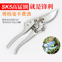Imported SK5 manganese steel pruning cutter tree branch shears fruit tree scissors Garden horticultural rough branch shears