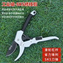 Pruning shears flower scissors gardening scissors tree shears flower shears flower shears flower shears flower shears garden forest tools