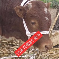 Bolt cow artifact tethering cattle special rope to tie sheep special rope Bolt cow rope