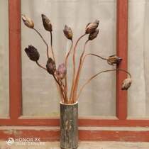 Dried flower packaging Lotus showerhead natural real flower real rod Home decoration Bonsai shooting props send bamboo vase
