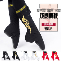 Dapingshan camel dance boots female long tube Mongolian side Flower boots dancing practice shoes male Tibetan stage performance