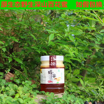 Wild honey pure and natural farmers self-produced and sold.