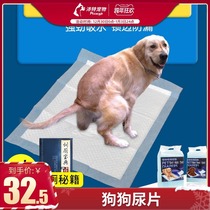 Dog diaper urine point golden hair pet use absorbent diaper animal big dog toilet diaper pad postpartum supplies