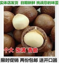 Big grain macadamia nuts cream delivery opener bag 500g pregnant woman snack