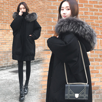 Pregnant women winter clothing 2021 New Net red autumn winter loose size fat sister coat cotton padded jacket down cotton jacket