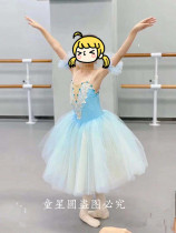 Childrens ballet skirt Swan Lake ballet performance light blue puffy gauze dress TUTU dress Little Swan dance suit