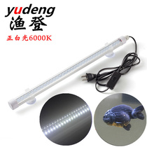 Yudeng high light transparent waterproof LED fish tank tube water grass supplementary light golden dragon fish aquarium lighting