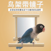 Small and medium-sized Budgerigar supplies Parrot bell toys Xuanfeng Peony bird Mirror BIRD cage stand stand stand bar