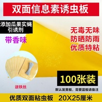 Double-sided mysite plate yellow insect trap board waterproof blue board vegetable greenhouse small black Flying Fruit Fly fly fly