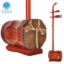Beijing Xinghai 8712 Zhonghu Musical Instrument Huali Mahogany Zhonghu Instrument Alto Erhu