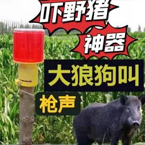 Drive for wild boar with dog called gunshots Beast Flash Solar Warning Lights long sequel to nighttime cautionary flashing lights