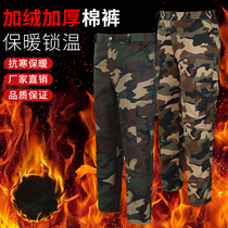 Glint thickened camouflate pants abrasion-proof Lawpants cold storage Special cotton pants Northeastern anti-cold and warm pants workwear pants external to wear