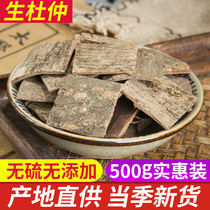 Eucommia 500g Chinese herbal medicine Super Eucommia Eucommia Eucommia Eucommia eucommia tea Eucommia powder Sichuan specialty tea making wine