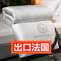 (Export France) Handmade silk quilted by 100 mulberry silk spring autumn quilt core thickened winter by summer cool air conditioning quilt