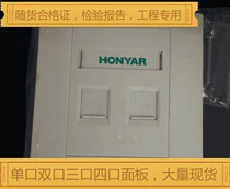 Hongyan dual-port panel Hongyan telephone network dual-port panel Hongyan single-port dual-port network information panel spot