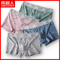Antarctic pure cotton mens underwear mens underwear antibacterial thin breathable boxer shorts youth summer boxer shorts