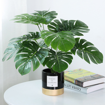 Nordic ins simulation plant decoration flower wind small ornaments living room desktop potted home indoor fake green plant bonsai
