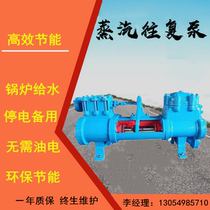 Factory direct 2QS steam reciprocating pump Small and medium-sized boiler water supply pneumatic centrifugal pump Power plant process pump