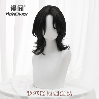 taobao agent [Man 囧] Boy wolf -tailed catfish head, Liu Dai cos wig golze wig daily spot