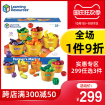 Learning Resources source simulation vegetable fruit ABS plastic House baby cognitive toy