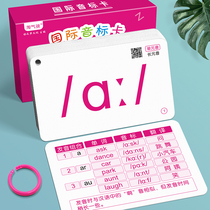 The new edition of 48 international phonetic card elementary students English introductory learning artifacts tutorial English teaching tools