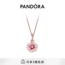 Pandora Pandora Rose Romantic Daisy ZT0722 necklace set girls simple gift