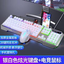 Mechanical feel wired keyboard mouse set game desktop computer notebook e-sports external USB peripheral office