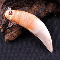 Imitation tiger tooth big cat tooth pendant pendant wen play collection animal teeth