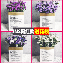  Dried flower bouquet ins decoration decoration Forget-me-not eternal flower Real flower net red Nordic home furnishings small and fresh
