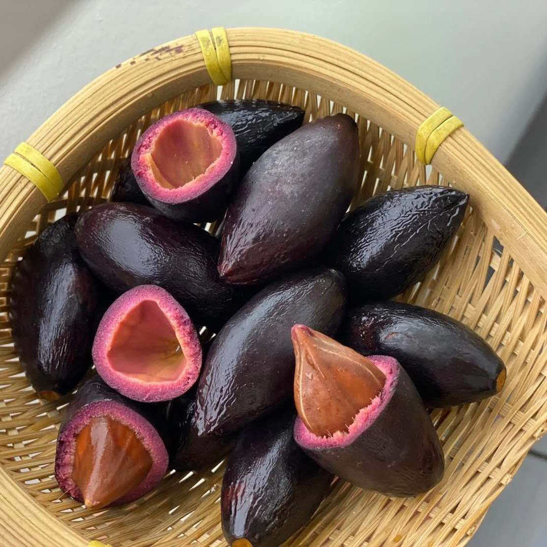 正宗船埔新联吊思茅乌橄榄石站榄石錾榄三捻榄三菱油榄普宁特产到底是什么?2025最新解读-旅游-淘宝好物网