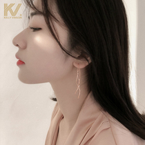 Explosive earrings 2021 New Tide long tassel female sterling silver luxury Korean temperament earrings
