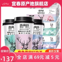 Lujiao Lane Milk Tea Cup with Hong Kong-style net red black sugar deer pills hand-brewed ready-to-drink burst milk tea powder whole box