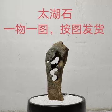 广西天然墨石太湖石-广西天然墨石太湖石促销价格、广西天然墨石太湖石