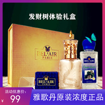 French Agedan Essential Oil Experience Set Original Head Air Fresh and Odor-Free Fortune Tree Gift Box Aromatherapy Lamp