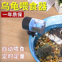 Turtle automatic feeder Brazilian tortoise timed small-feeding turtle feeding turtle food dispenser feeding turtle water