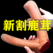 Jilin plum blossom velvet pruning authentic fresh cut blood slice 50g wine wine material first stubble non 500g