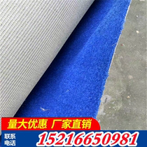 Wushu Pavilion Carpet Conference Room Beauty Salon Project Solid Color Thick Tufted B1a Fireproof Floor