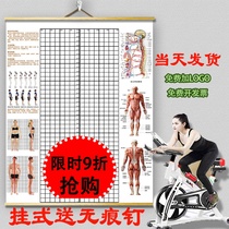 Hanging posture assessment table Body measurement Gym private teaching Body correction grid Traditional Chinese Medicine studio Background wall map