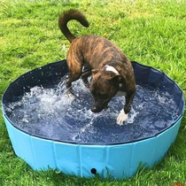 Pet bath tub dog bath tub foldable pet tub swimming pool medicine bathtub cat medium bucket